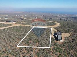  Terreno (Parcela) en venta en Chile, Mincha, Choapa, Coquimbo, Chile
