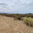  Land for sale in Chile, Mincha, Choapa, Coquimbo, Chile