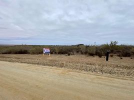  Land for sale in Chile, Mincha, Choapa, Coquimbo, Chile