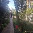  Land for sale in Chile, Pirque, Cordillera, Santiago, Chile