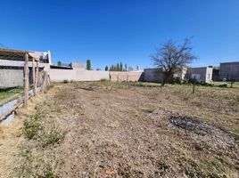  Land for sale in Confluencia, Neuquen, Confluencia