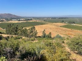  Land for sale in Chile, Curico, Curico, Maule, Chile