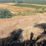  Land for sale in Chile, Curico, Curico, Maule, Chile