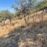  Land for sale in Chile, Curico, Curico, Maule, Chile