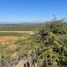  Land for sale in Chile, Curico, Curico, Maule, Chile