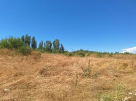  Land for sale in Chile, Los Angeles, Biobío, Biobío, Chile