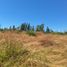  Land for sale in Chile, Los Angeles, Biobío, Biobío, Chile