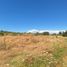  Land for sale in Chile, Los Angeles, Biobío, Biobío, Chile