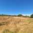  Land for sale in Chile, Los Angeles, Biobío, Biobío, Chile