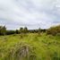  Land for sale in Chile, Temuco, Cautin, Araucania, Chile