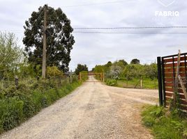  Land for sale in Chile, Temuco, Cautin, Araucania, Chile
