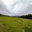  Land for sale in Chile, Temuco, Cautin, Araucania, Chile