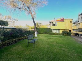 3 Habitación Departamento en venta en Alvaro Obregon, Ciudad de México, Alvaro Obregon