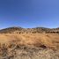  Terreno (Parcela) en venta en Chacabuco, Santiago, Colina, Chacabuco