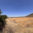  Terreno (Parcela) en venta en Chacabuco, Santiago, Colina, Chacabuco