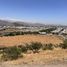  Land for sale in Colina, Santiago, Colina, Chacabuco