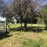  Land for sale in Gualeguaychu, Entre Rios, Gualeguaychu