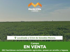  Terreno (Parcela) en venta en Rivadavia, Buenos Aires, Rivadavia