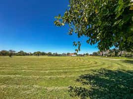  Terreno (Parcela) en venta en Santa Maria, Cordobá, Santa Maria