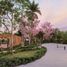  Terreno (Parcela) en venta en Dzidzantun, Yucatán, Dzidzantun, Yucatán