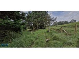  Terreno (Parcela) en venta en Rionegro, Antioquia, Rionegro