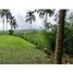  Land for sale in Pereira, Risaralda, Pereira