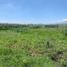  Land for sale in Calpan, Puebla, Calpan