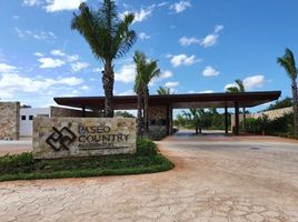  Grundstück zu verkaufen in Conkal, Yucatan, Conkal