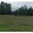  Land for rent in Quito Pichincha, Tababela
