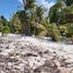 Terrain à vendre à Othon P Blanco, Quintana Roo, Othon P Blanco