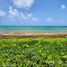 Terrain à vendre à Othon P Blanco, Quintana Roo, Othon P Blanco