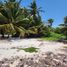Terrain à vendre à Othon P Blanco, Quintana Roo, Othon P Blanco