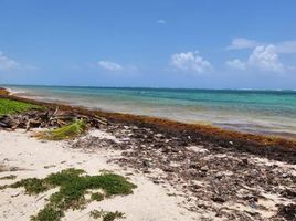 Terrain à vendre à Othon P Blanco, Quintana Roo, Othon P Blanco