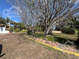 在Coatepec, Veracruz出售的 土地, Coatepec