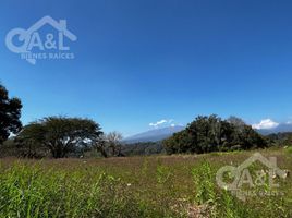  Terreno (Parcela) en venta en Xico, Veracruz, Xico