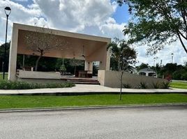  Terreno (Parcela) en venta en Merida, Yucatán, Merida, Yucatán