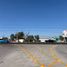  Land for rent in Jesus Maria, Aguascalientes, Jesus Maria