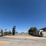  Land for rent in Jesus Maria, Aguascalientes, Jesus Maria