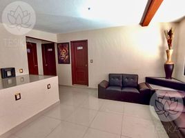 100 m² Office for rent in Toluca, Mexico, Toluca