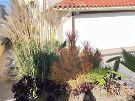 3 Bedroom Villa for sale in Tijuana, Baja California, Tijuana, Baja California