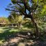  Land for sale in Cuernavaca, Morelos, Cuernavaca