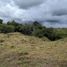  Land for sale in Cocle, Anton, Anton, Cocle