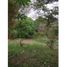  Land for sale in Cocle, Anton, Anton, Cocle