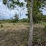  Land for sale in Cocle, Anton, Anton, Cocle