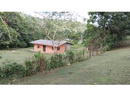  Land for sale in Colon, Colon, Buena Vista, Colon