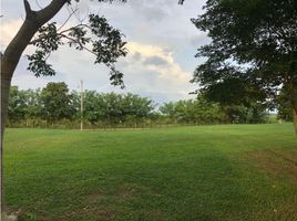  Land for sale in Hurtado, La Chorrera, Hurtado