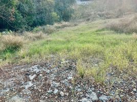  Grundstück zu verkaufen in San Pedro Garza Garcia, Nuevo Leon, San Pedro Garza Garcia