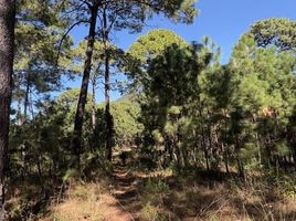  Terreno (Parcela) en venta en Mazamitla, Jalisco, Mazamitla