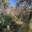  Terreno (Parcela) en venta en Mazamitla, Jalisco, Mazamitla