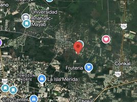  Grundstück zu verkaufen in Conkal, Yucatan, Conkal
